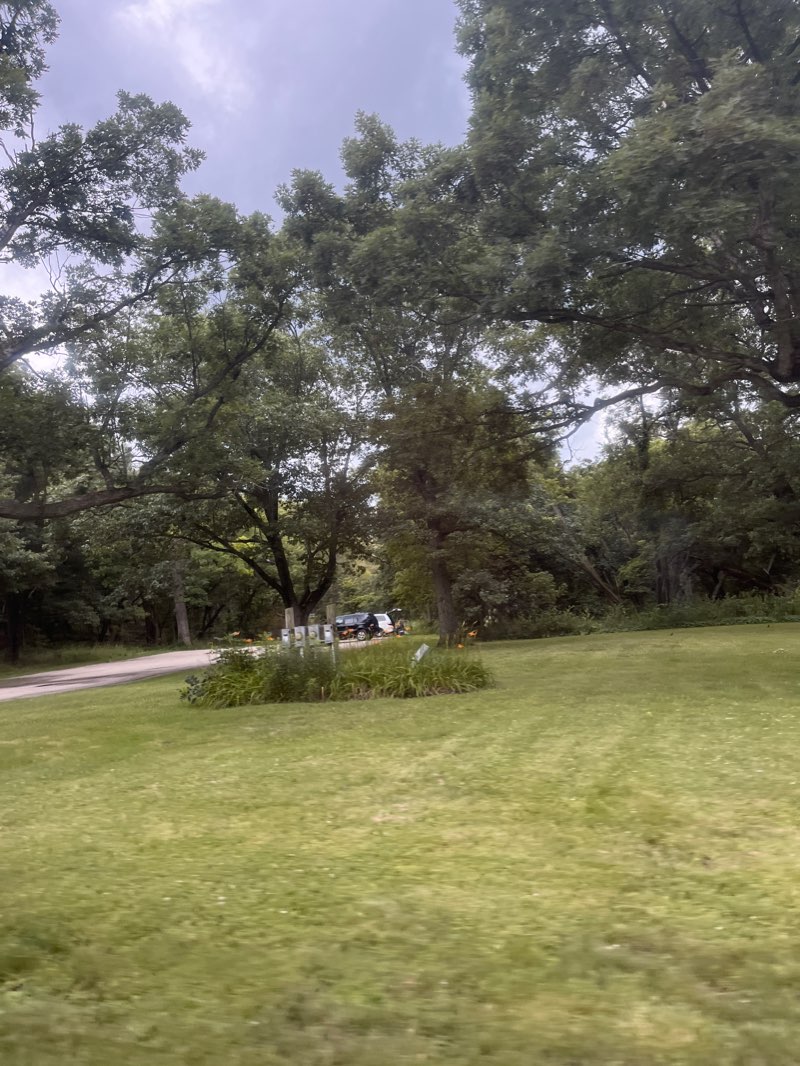 walking near me in Fabyan Forest Preserve in winter