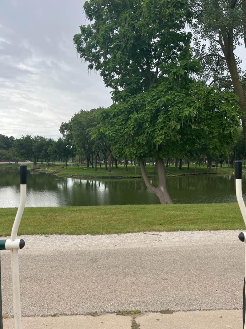 walking near me in Phillips Park in winter