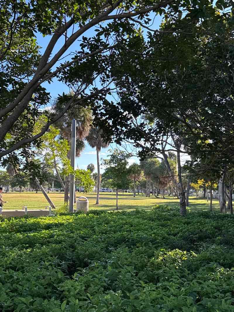 walking near me in Kennedy Park in autumn