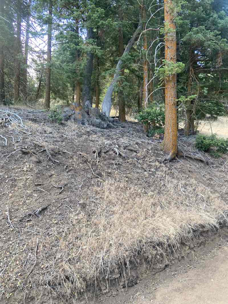 walking near me in Tehachapi Mountain Park in autumn