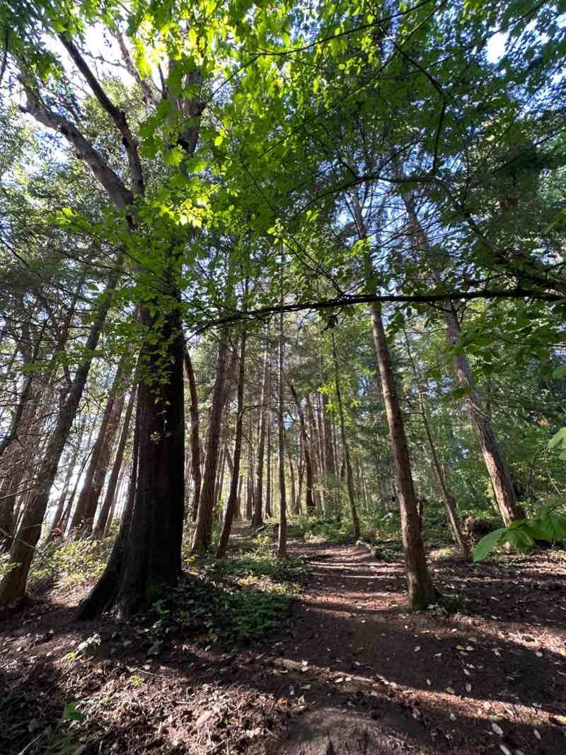 walking near me in Titlow Park in winter