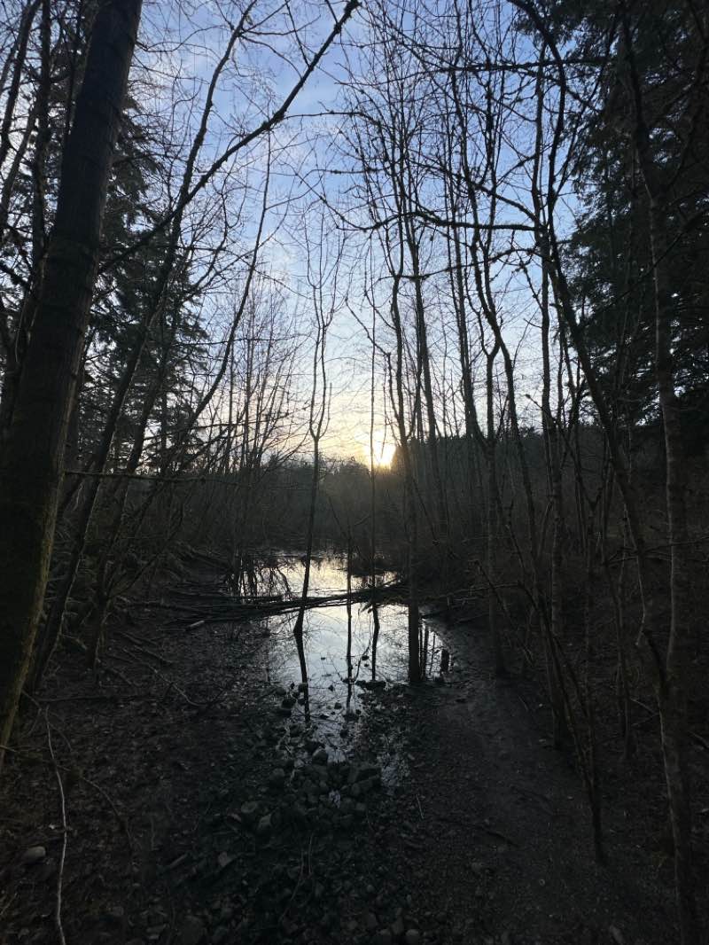 walking near me in Celebration Park in spring