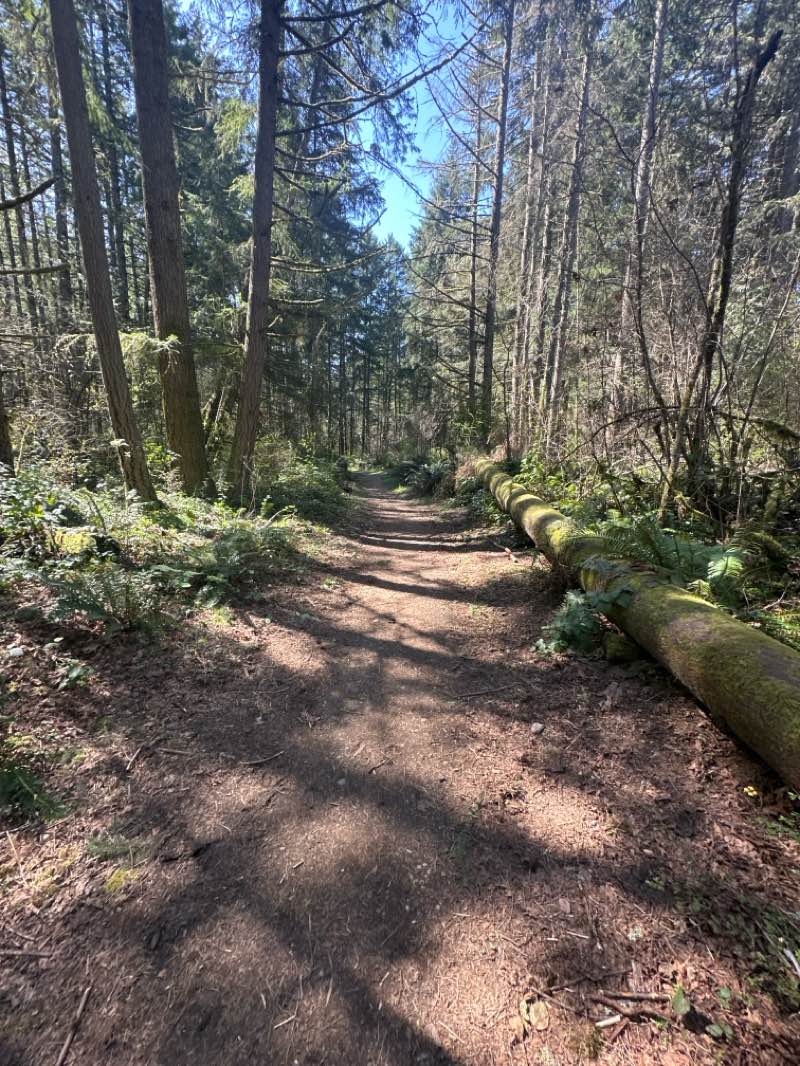 walking near me in Orange Gate Park in spring