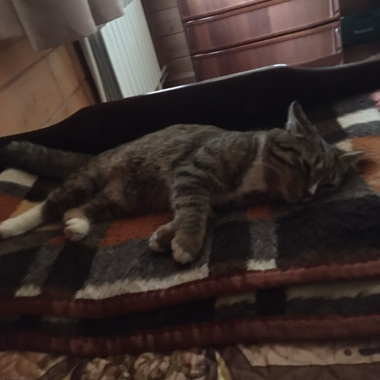 Андрей