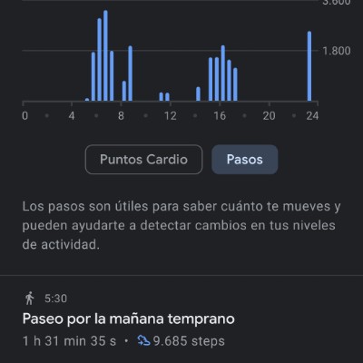 Tras las huellas del caminante Miri Audalheid post image