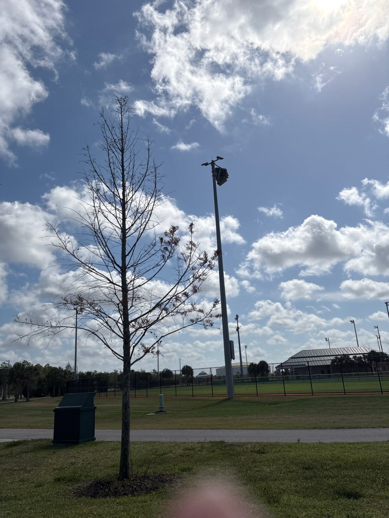 walking near me in Big Corkscrew Island Regional Park in spring