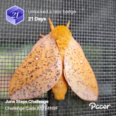 🖤🤍Kellie🖤🤍 post 1