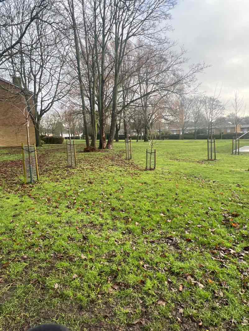 walking near me in Bedwell Shops Park in winter