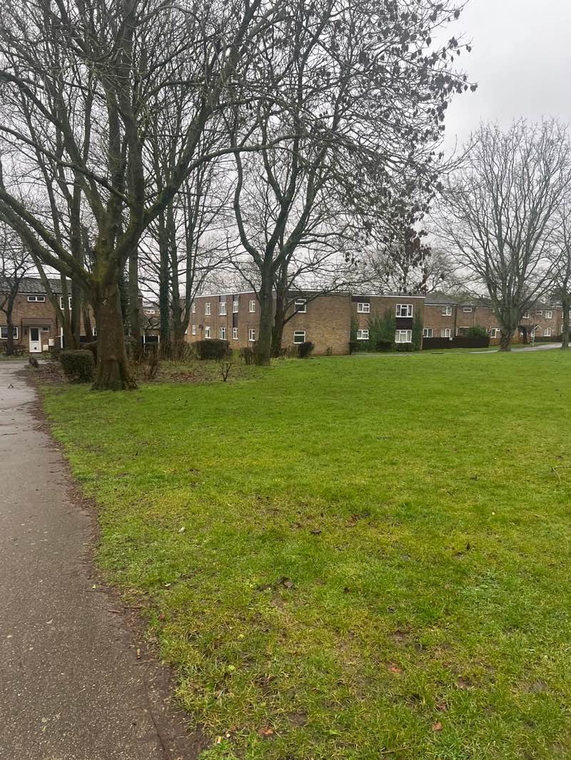 walking near me in The Green in winter