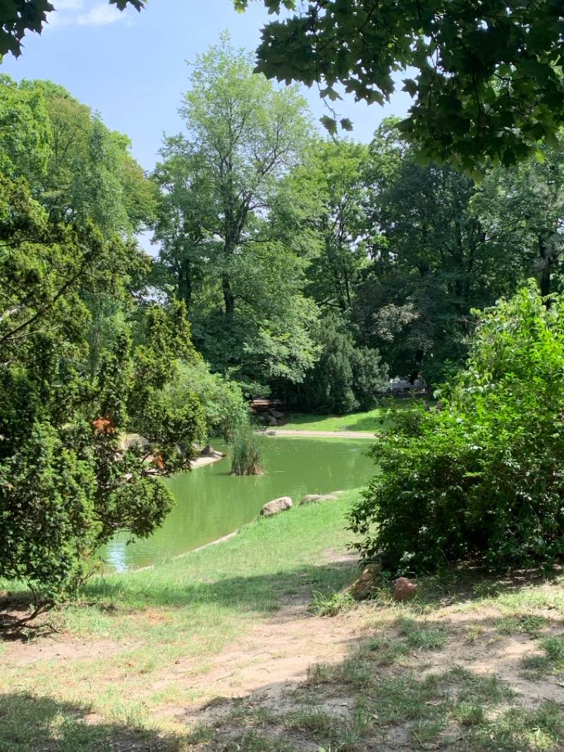 walking near me in Park Thomasa Woodrowa Wilsona in winter