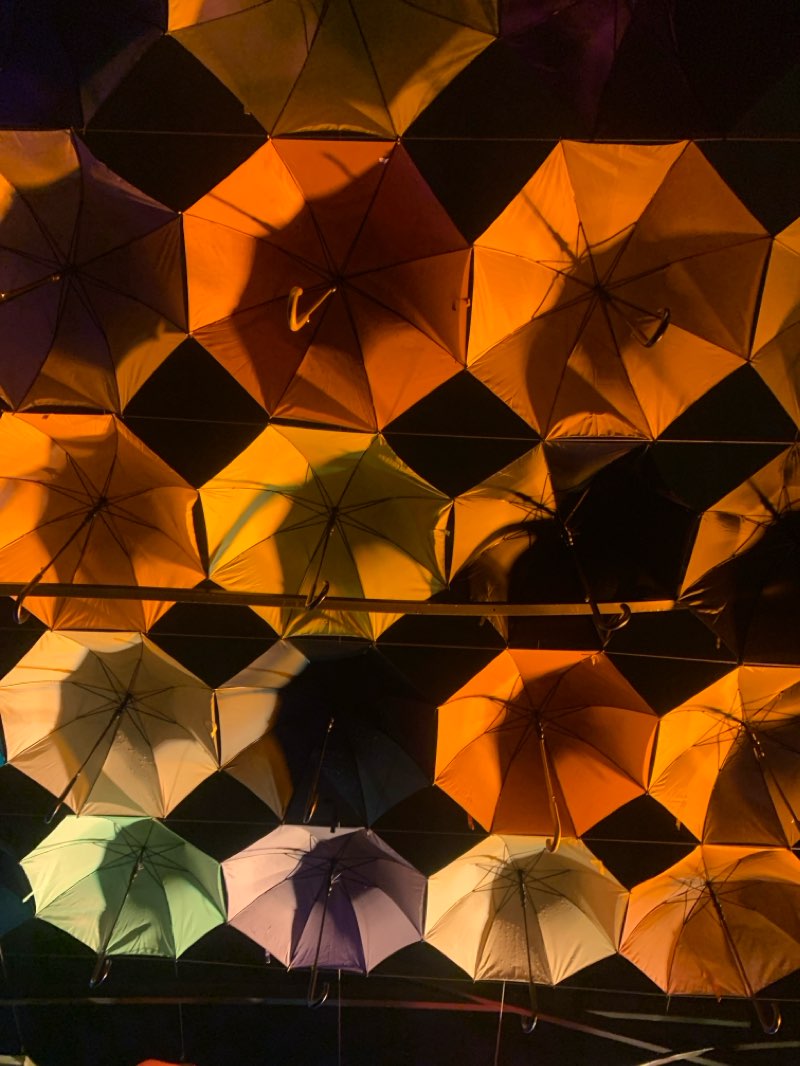 walking near me in Skwery Tamary Sołoniewicz in winter