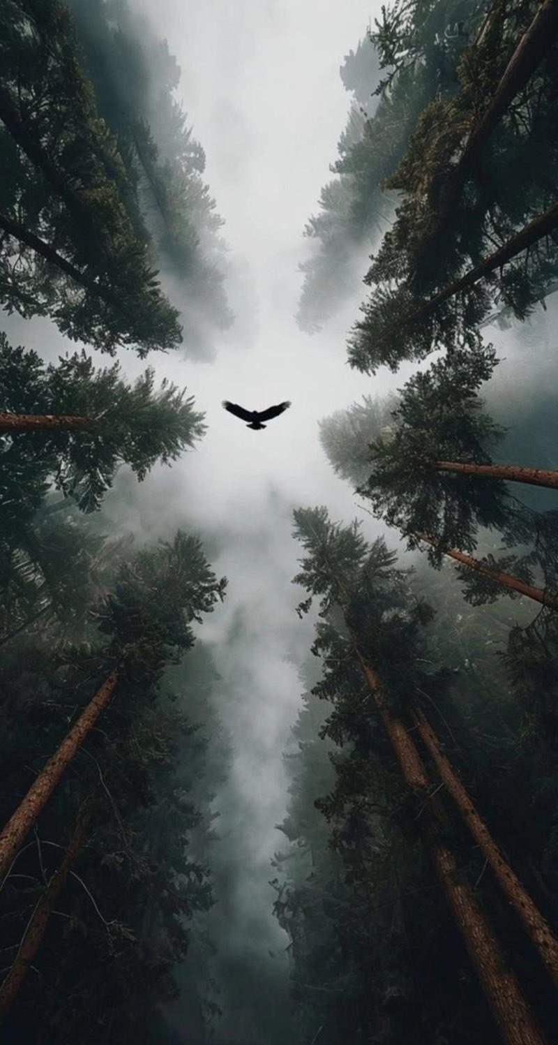 walking near me in Park Cytadela in autumn