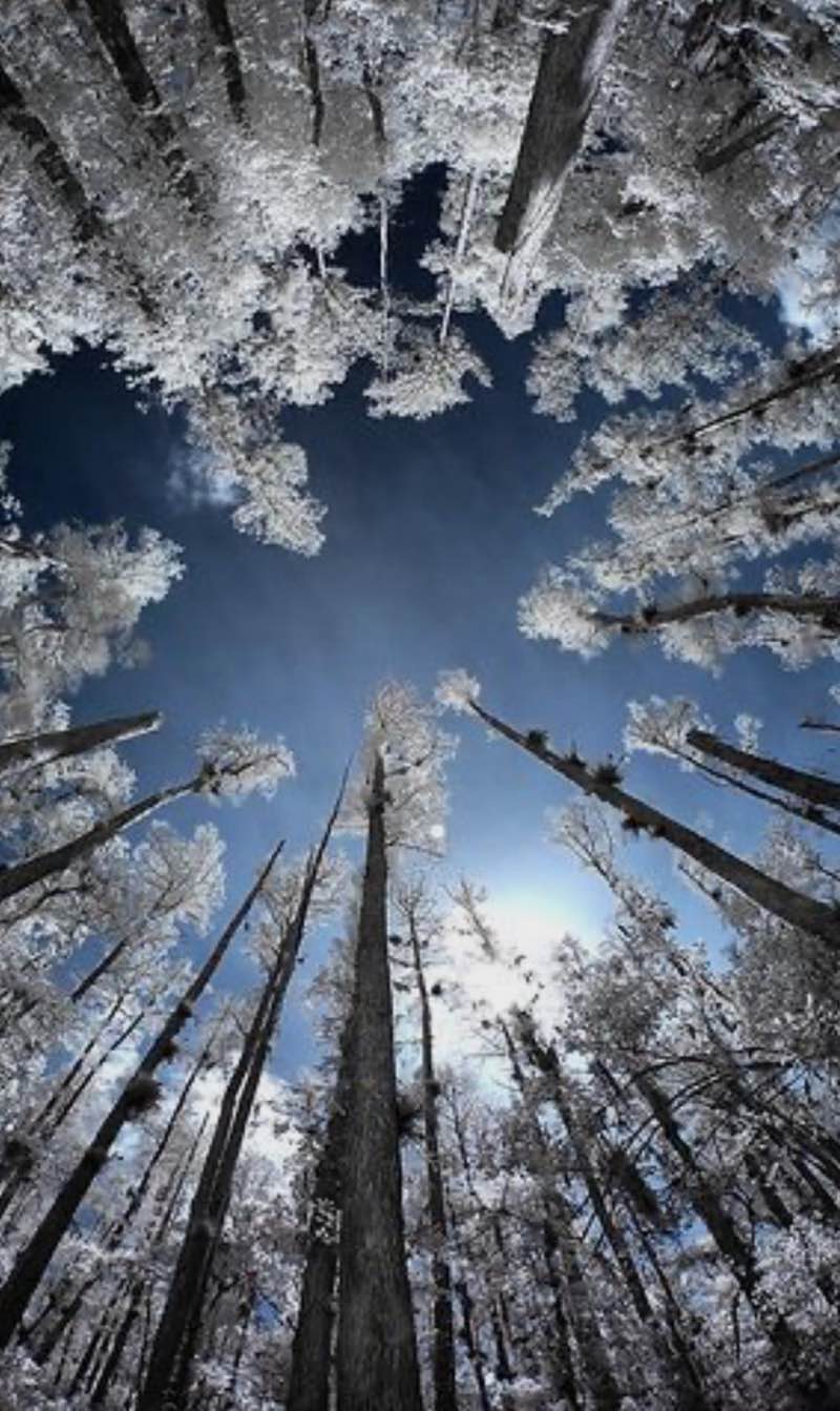 walking near me in Park Jurija Gagarina in autumn