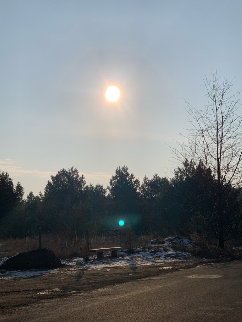 walking near me in Park Zygmunta Mahlika in winter