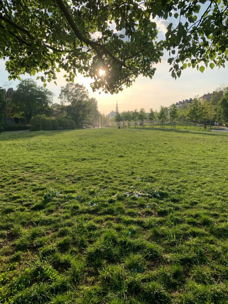 walking near me in Park Stare Koryto Warty in spring