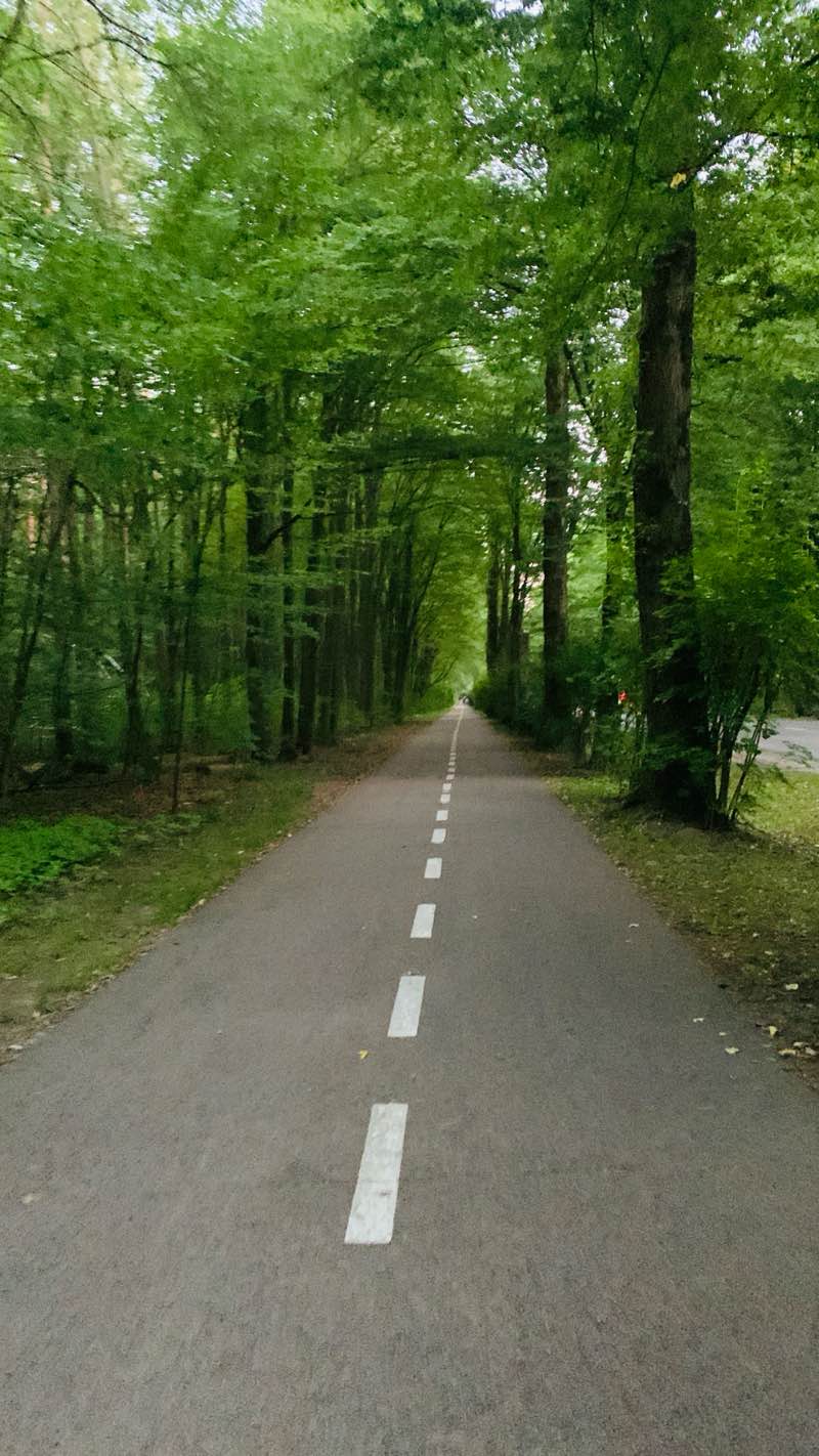 walking near me in Park Planty in autumn