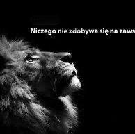 Robert 🇵🇱🇪🇺 post 2