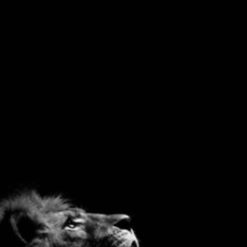 Robert 🇵🇱🇪🇺 post 3