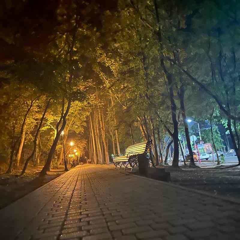 Famiq (Panther Energy) post 1