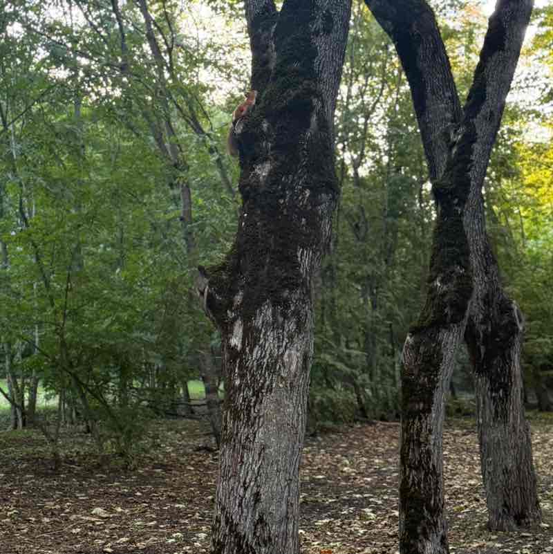 Famiq (Panther Energy) post 1