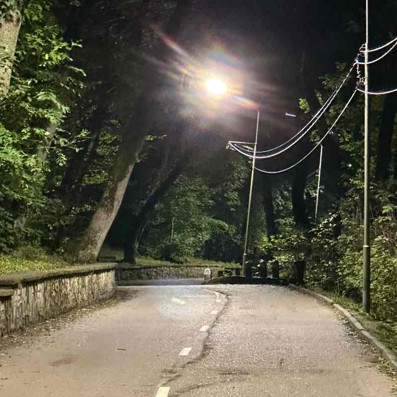 Famiq (Panther Energy) post 2