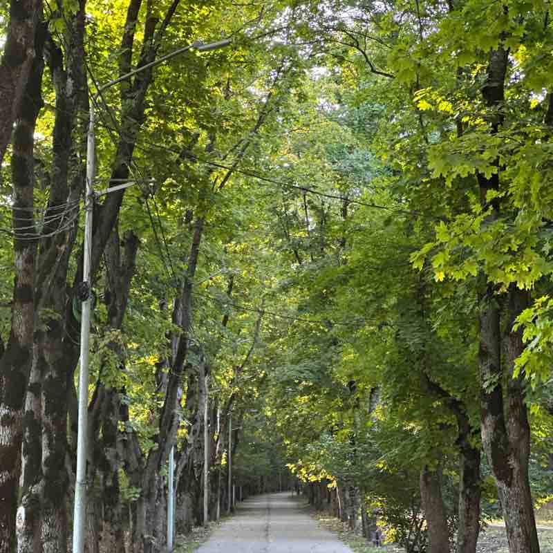 Famiq (Panther Energy) post 3