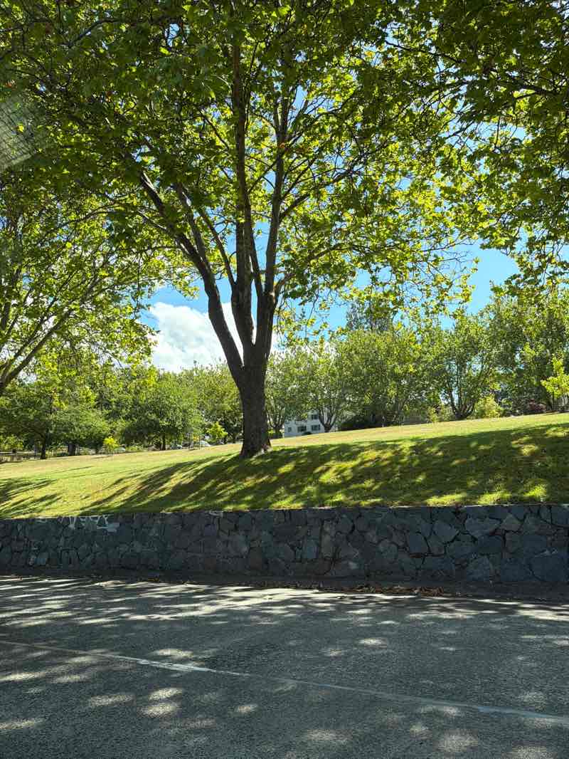 walking near me in Fitzroy Gardens in summer