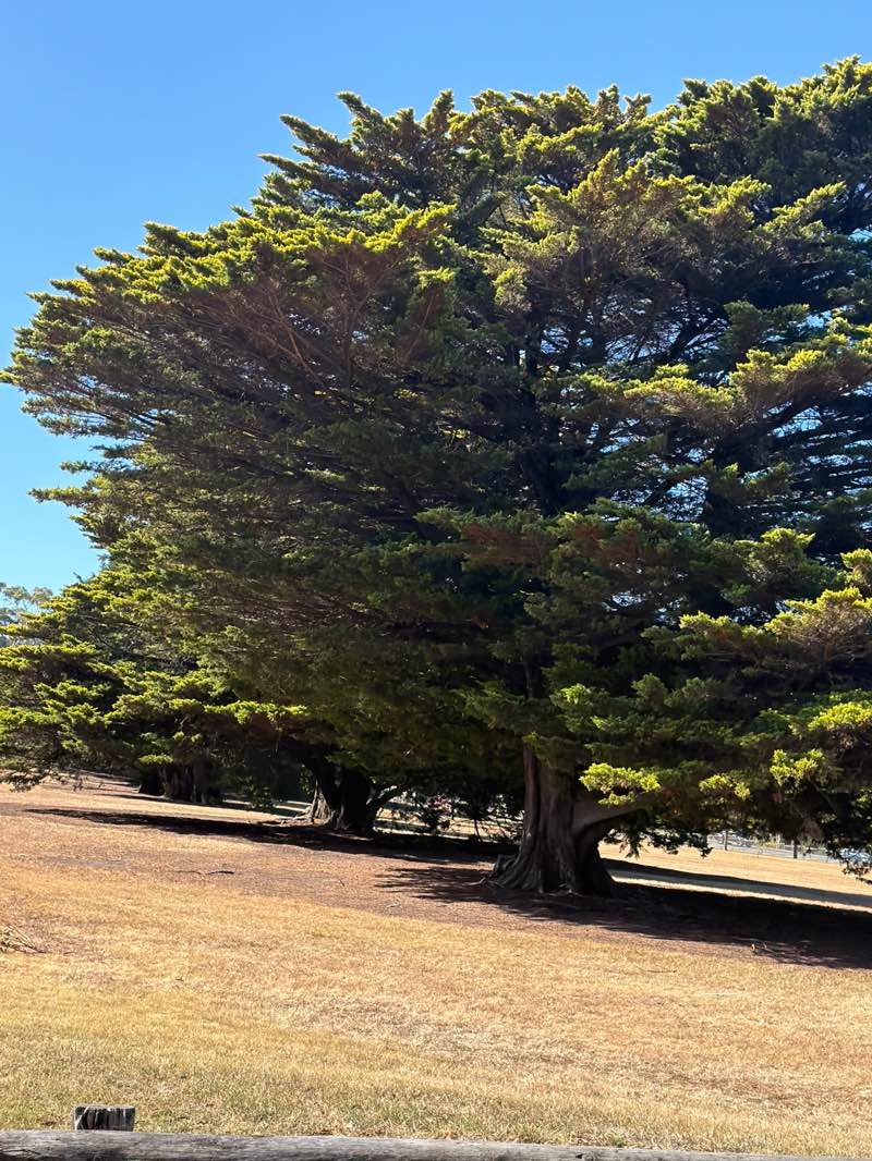 walking near me in Charles Hand Memorial Park in summer