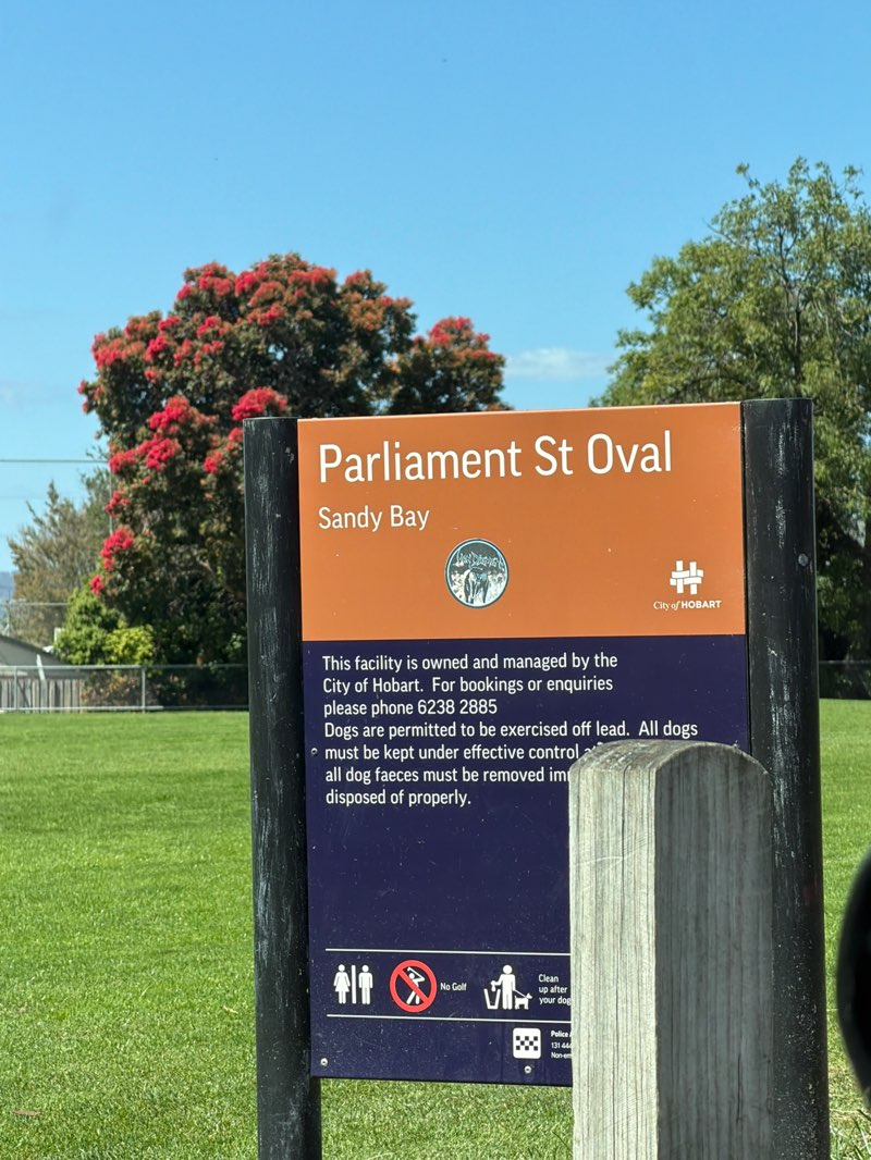 walking near me in Parliament Street Reserve in summer