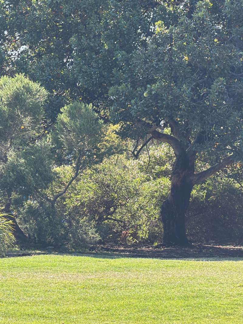 walking near me in Kangaroo Bluff Historic Site in autumn