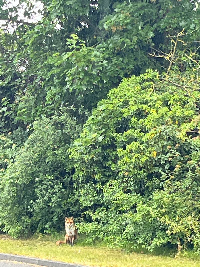 walking near me in The Warren in spring