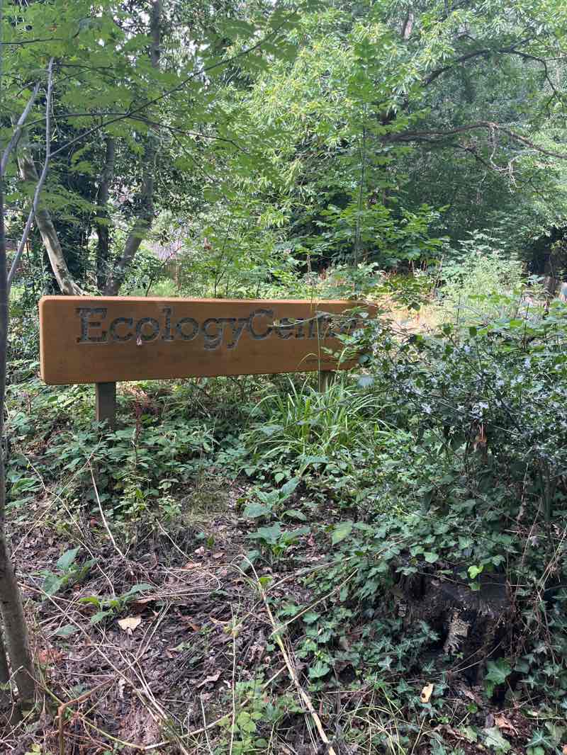 walking near me in Holland Park in autumn