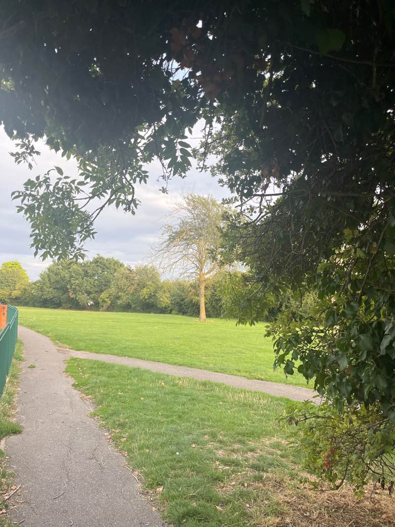 walking near me in Pottery Road Recreation Ground in autumn