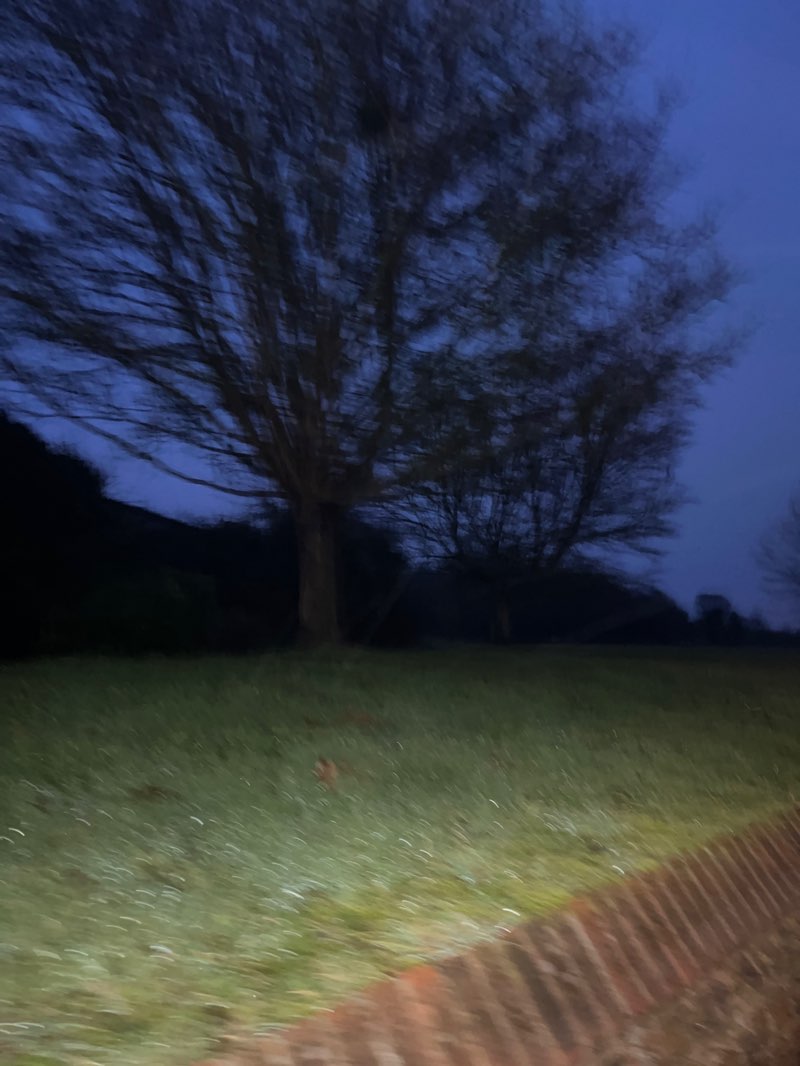 walking near me in The Warren in winter