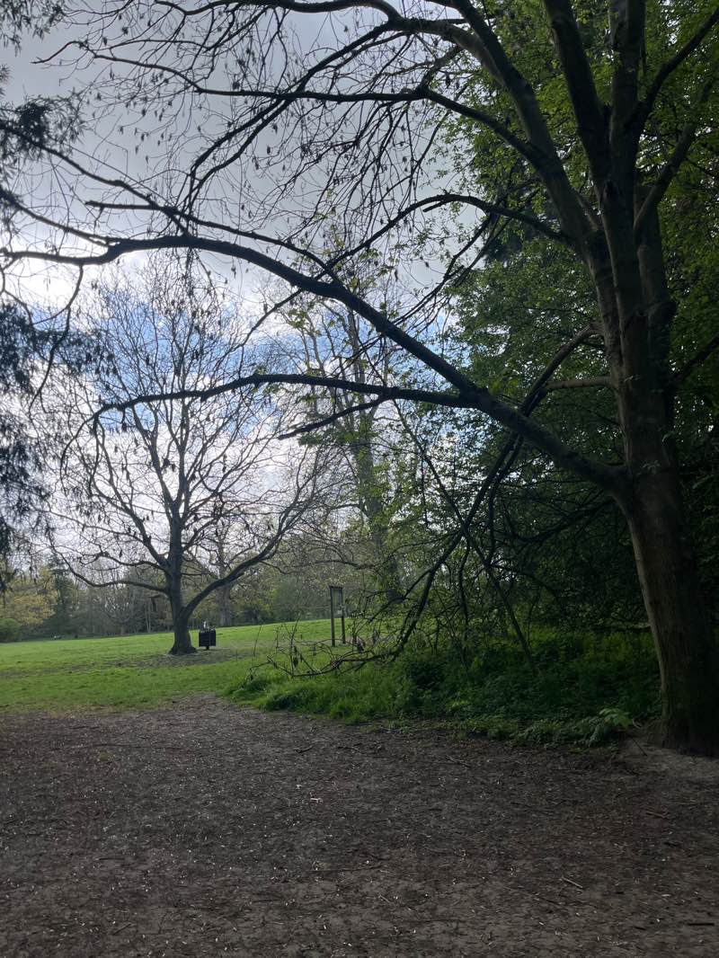 walking near me in Camer Park in spring