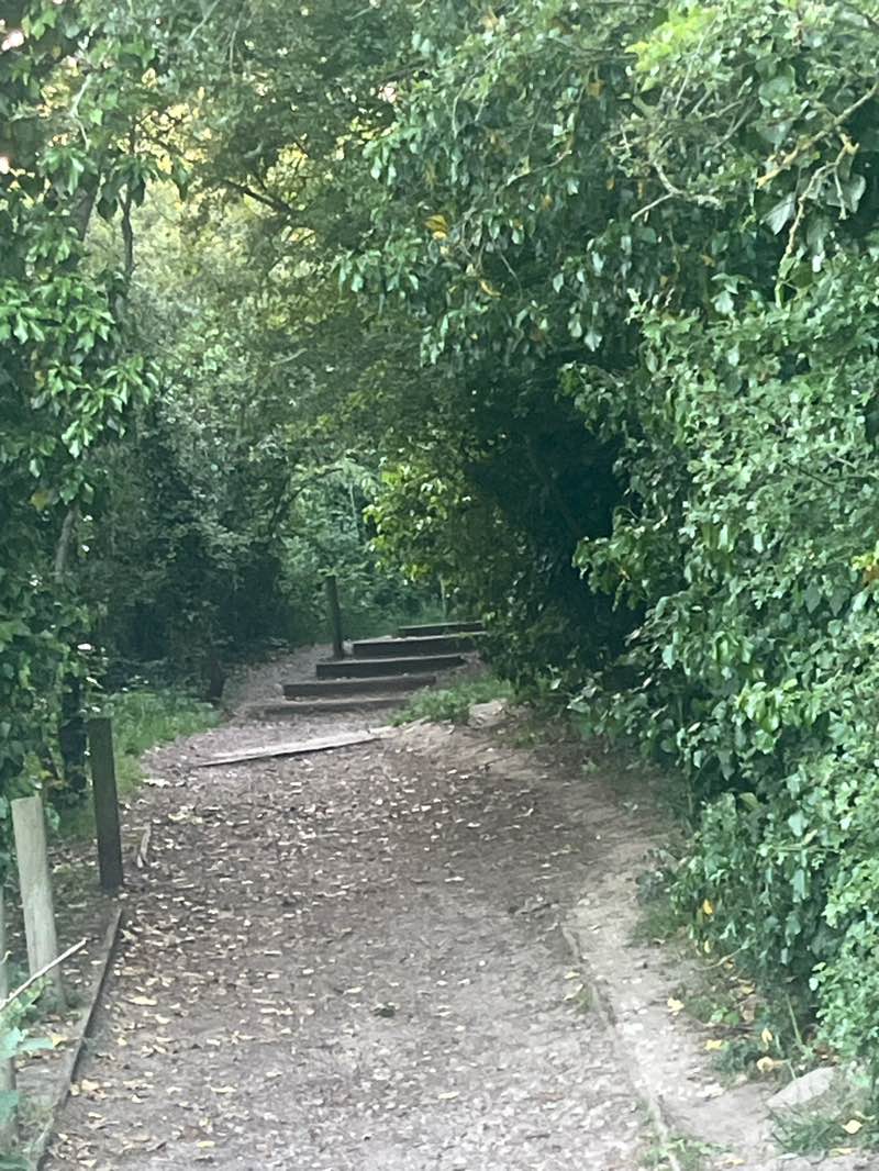 walking near me in Northfleet Urban Country Park in summer