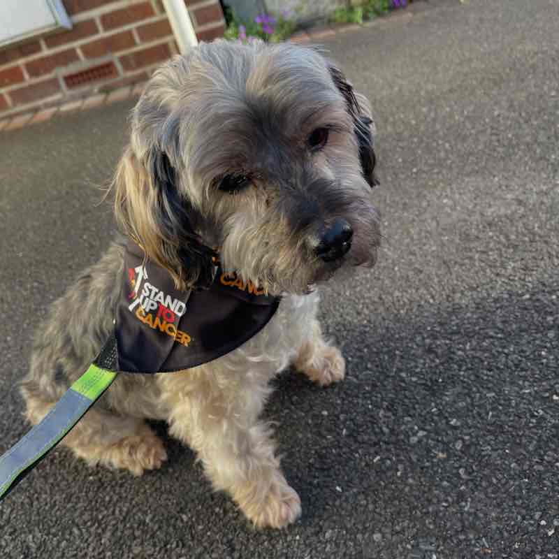 Carol Parsons post 1