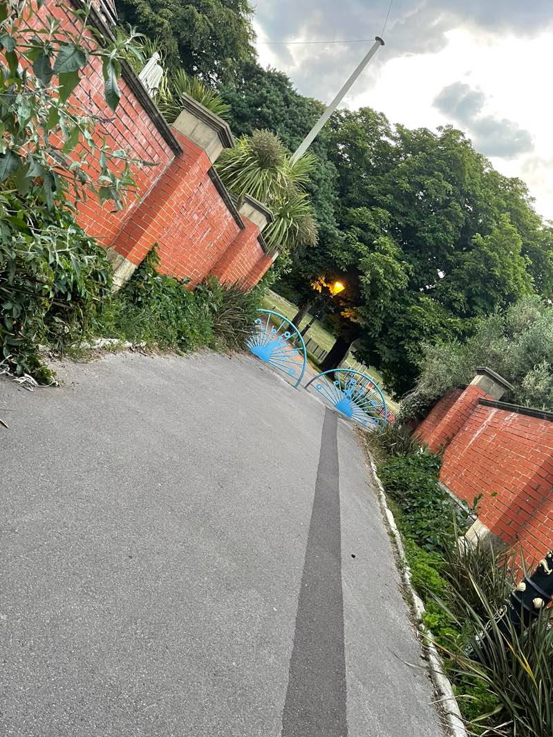 walking near me in Alexandra Park in summer