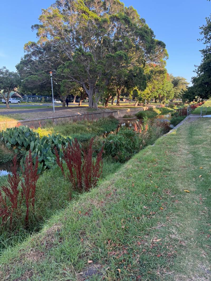 walking near me in Rosebank Village Green in summer