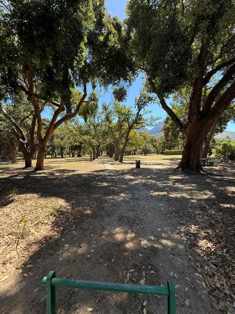 walking near me in Rondebosch Park in summer