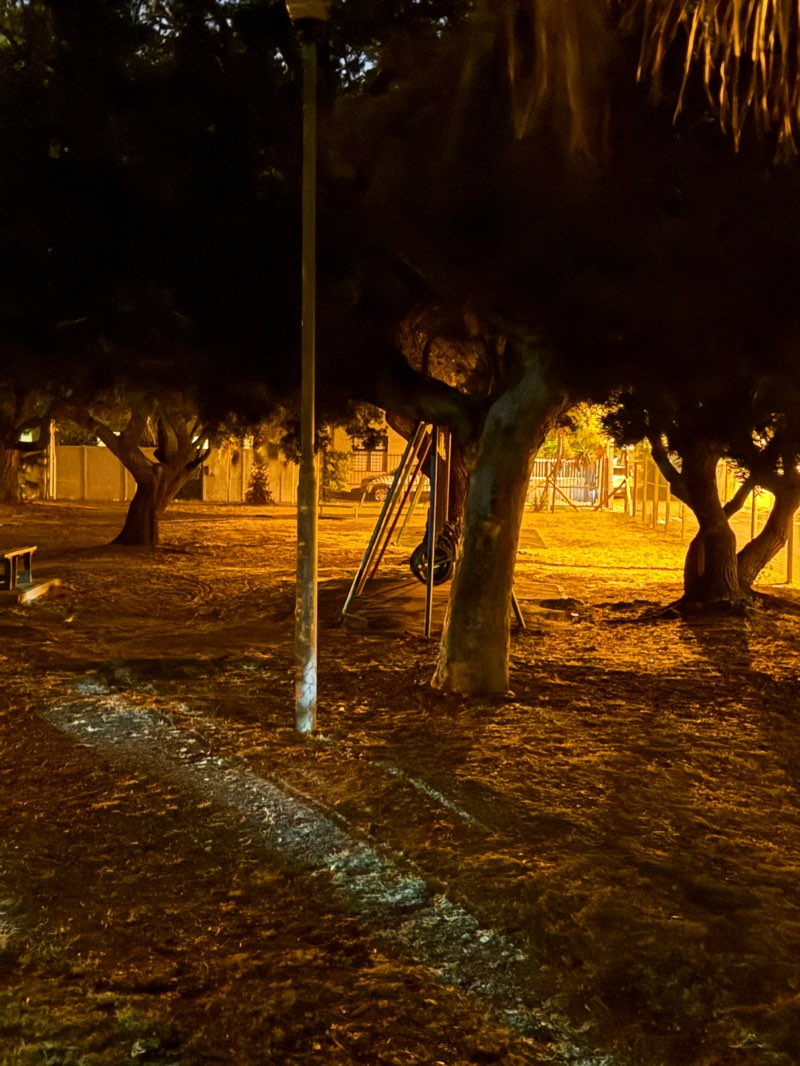 walking near me in Hampstead Park in summer