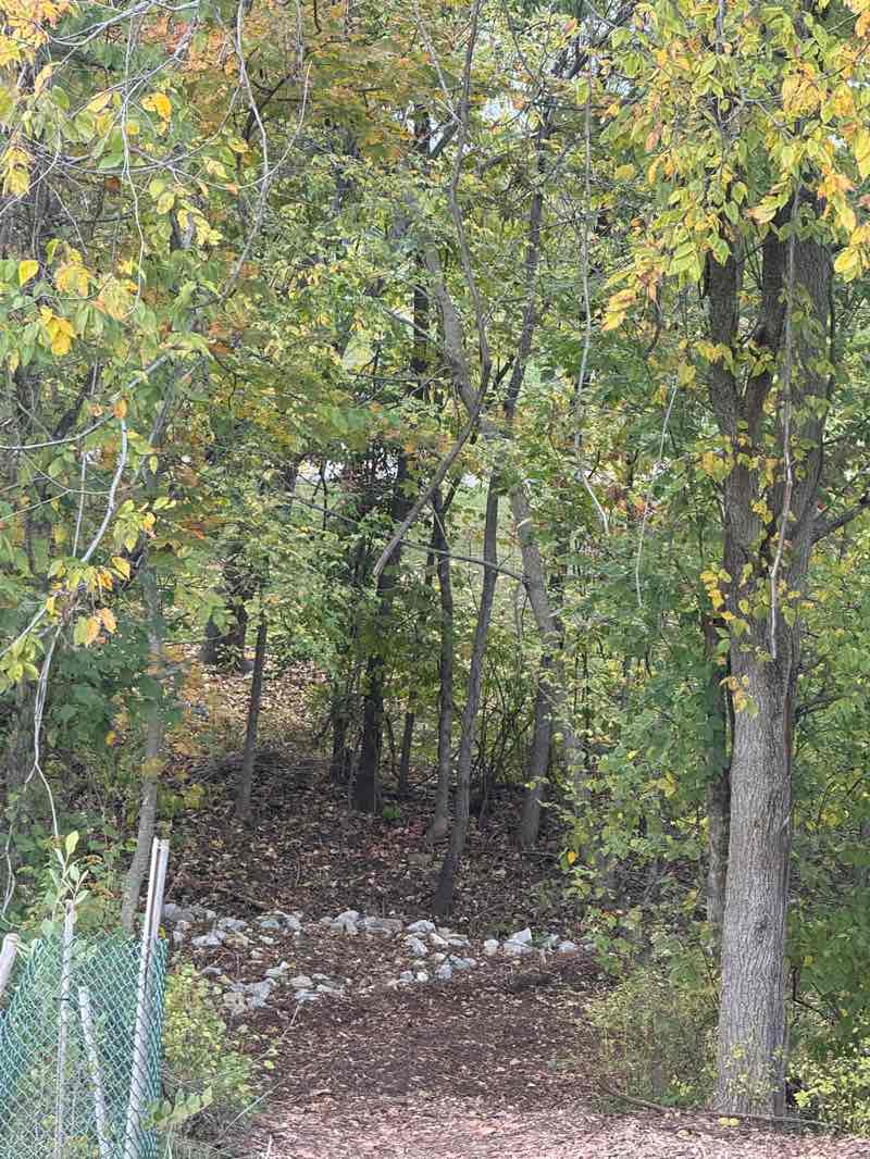 walking near me in Boone County Arboretum & Central Park in autumn