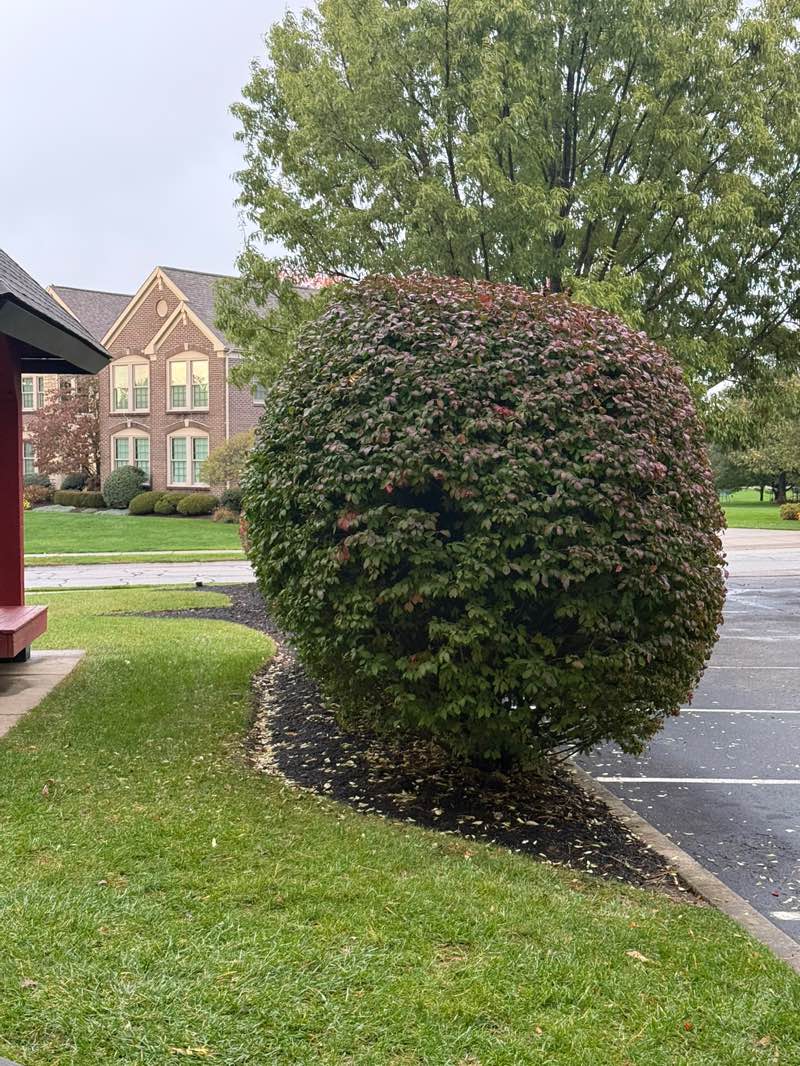 walking near me in Hempsteade HOA Park (Private) in autumn