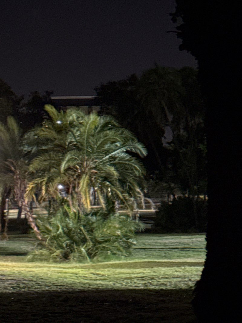 walking near me in Maynardville Park in summer