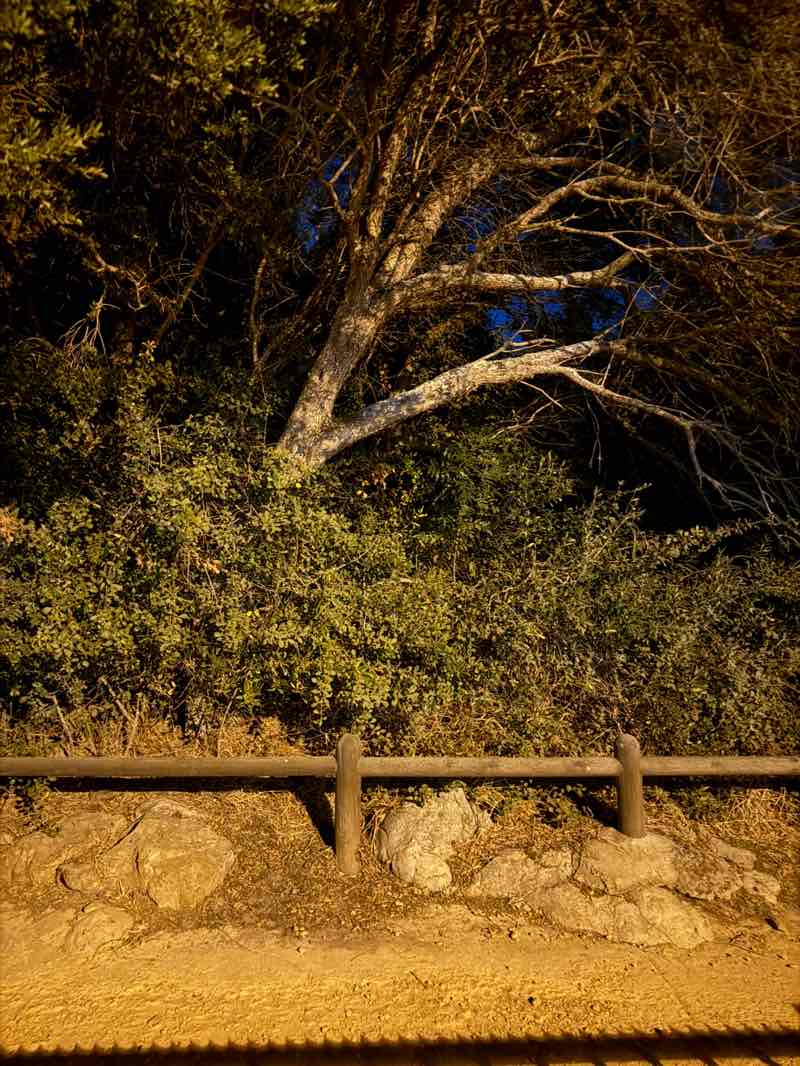 walking near me in Jack Muller and Danie Uys Park in autumn