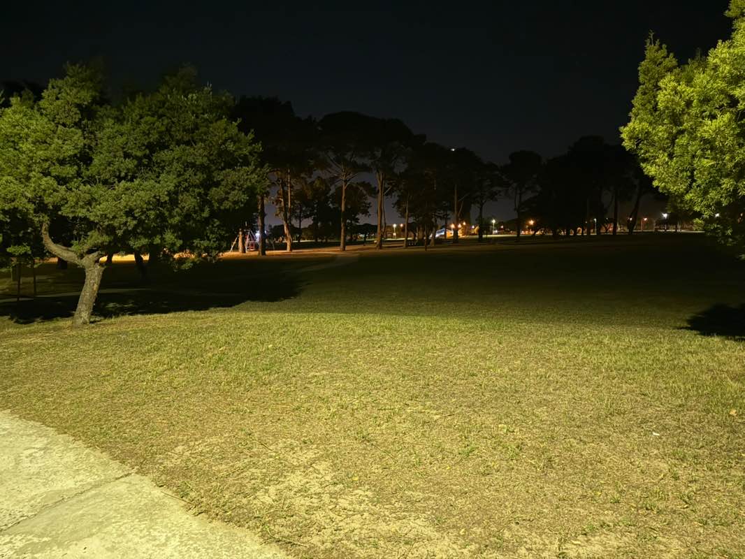 walking near me in Camoens Avenue Park in autumn