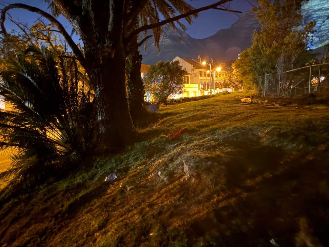 walking near me in Lower De Waal Park in autumn