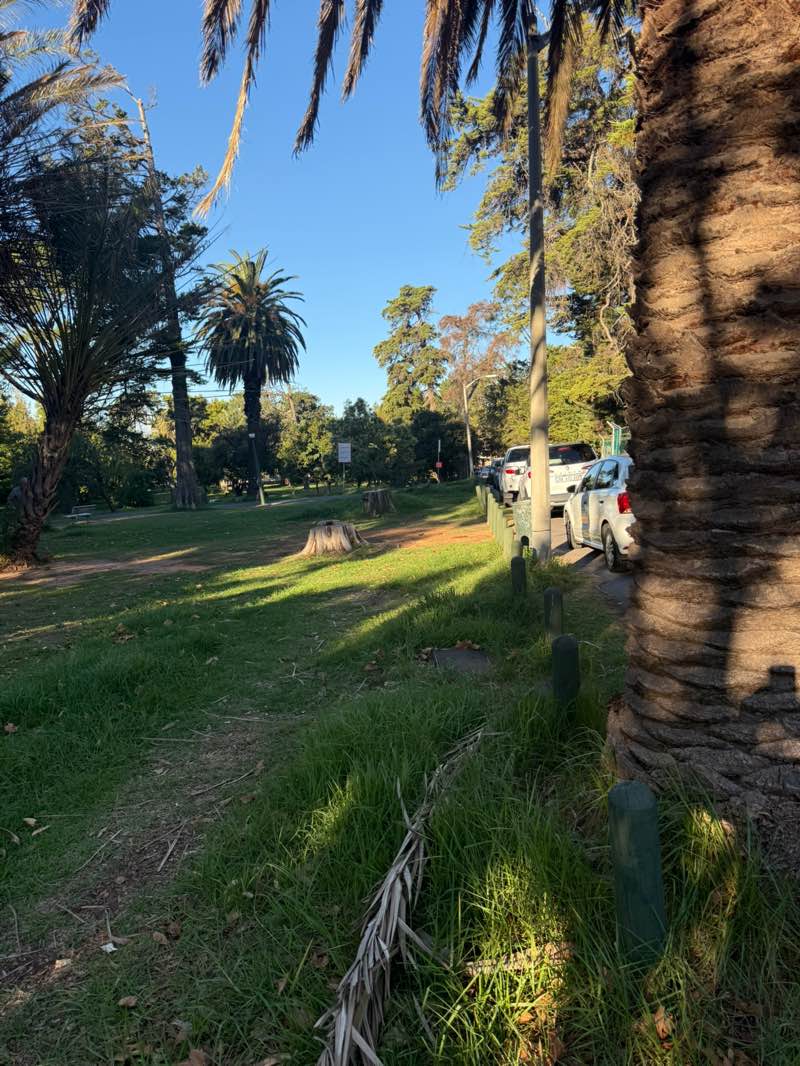 walking near me in De Waal Park in autumn
