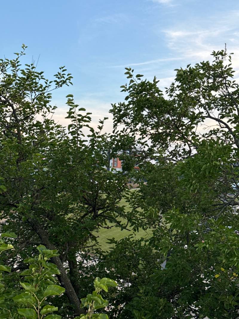 walking near me in General James Taylor Park in autumn