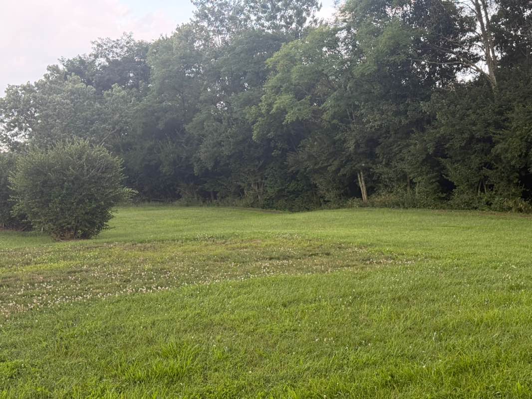 walking near me in Covered Bridge Park in autumn